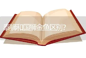 燕鱼怎么看鱼龄？