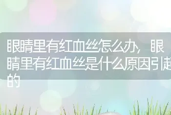 眼睛里有红血丝怎么办，眼睛里有红血丝是什么原因引起的