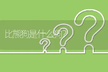 金毛和拉布拉多谁更聪明更好养？