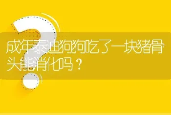 成年泰迪狗狗吃了一块猪骨头能消化吗？