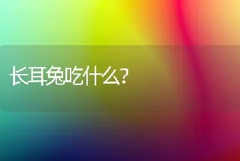 长耳兔吃什么？