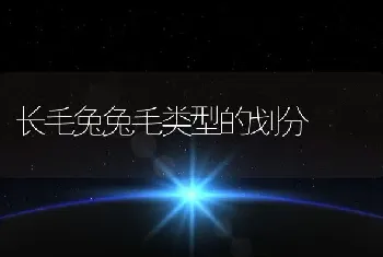 长毛兔兔毛类型的划分