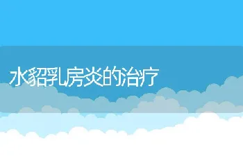 新玉米作为饲料原料存在的问题及解决方法