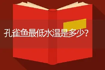 孔雀鱼最低水温是多少？