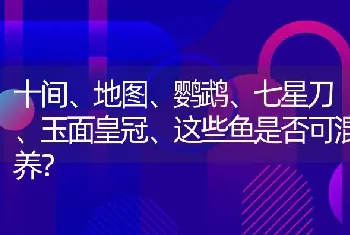 十间、地图、鹦鹉、七星刀、玉面皇冠、这些鱼是否可混养？