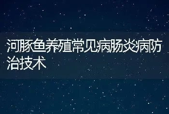 河豚鱼养殖常见病肠炎病防治技术