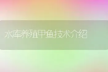 水库养殖甲鱼技术介绍