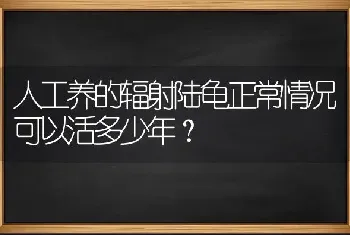 人工养的辐射陆龟正常情况可以活多少年？