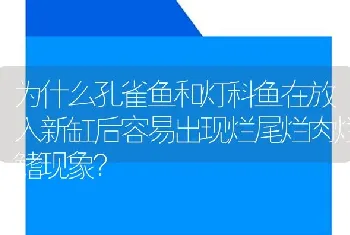 为什么孔雀鱼和灯科鱼在放入新缸后容易出现烂尾烂肉烂鳍现象？