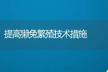 提高獭兔繁殖技术措施