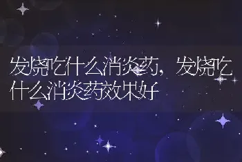 发烧吃什么消炎药，发烧吃什么消炎药效果好