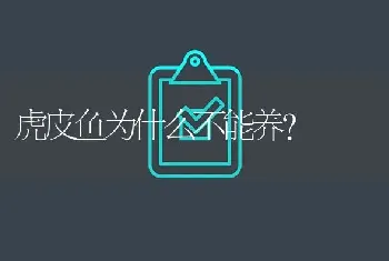 虎皮鱼为什么不能养？