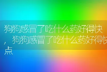 狗狗感冒了吃什么药好得快，狗狗感冒了吃什么药好得快点