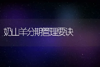 有关鹧鸪的繁殖的注意事项