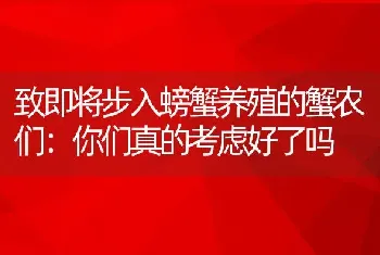 致即将步入螃蟹养殖的蟹农们：你们真的考虑好了吗