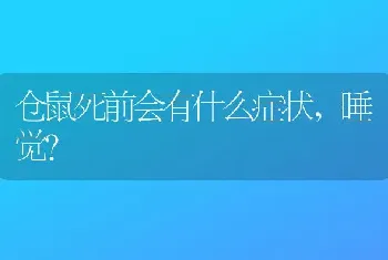 仓鼠死前会有什么症状，睡觉？