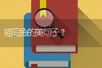 养金鱼要几天才换一次水呢？如果没有增氧器那鱼会死吗？