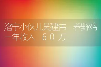 洛宁小伙儿吴建伟 养野鸡一年收入 60万