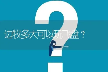 边牧多大可以玩飞盘？