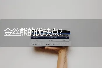 金丝熊的优缺点？