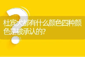 杜宾犬都有什么颜色四种颜色是被承认的？