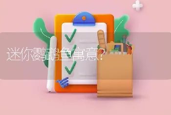 迷你鹦鹉鱼寓意？