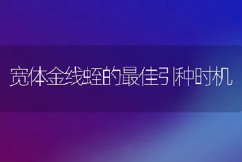 宽体金线蛭的最佳引种时机