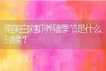 南美白对虾养殖季节是什么时候？