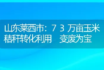 山东莱西市：73万亩玉米秸秆转化利用变废为宝