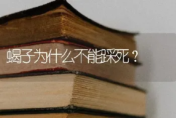 蝎子为什么不能踩死？