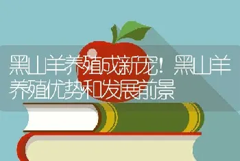 养兔有哪些禁忌？