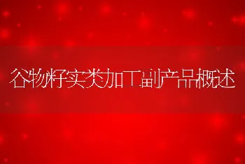 谷物籽实类加工副产品概述