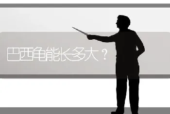 巴西龟能长多大？