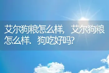 艾尔狗粮怎么样，艾尔狗粮怎么样.狗吃好吗？