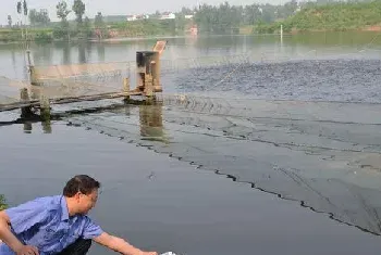 水产养殖异常水质的解决方法