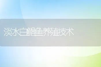 淡水白鲳鱼养殖技术