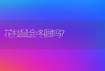 折耳后期好养吗？