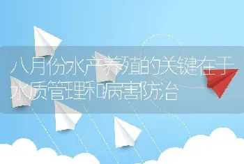 八月份水产养殖的关键在于水质管理和病害防治