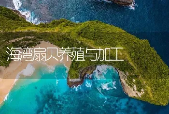 海湾扇贝养殖与加工