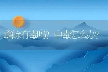 蟾蜍有毒吗？中毒怎么办？