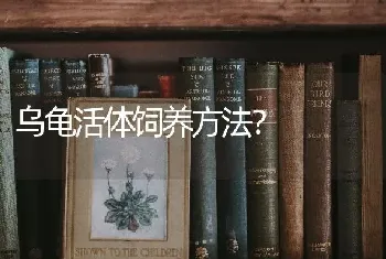 乌龟活体饲养方法？