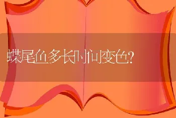 蝶尾鱼多长时间变色？