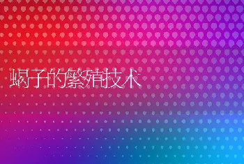 养虾中后期管理要点