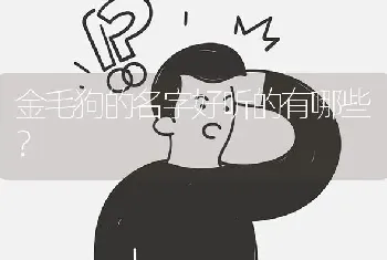 金毛狗的名字好听的有哪些？