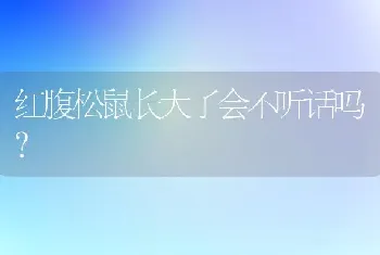 红腹松鼠长大了会不听话吗？