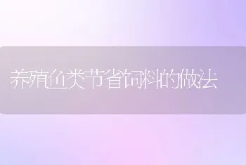 养殖鱼类节省饲料的做法