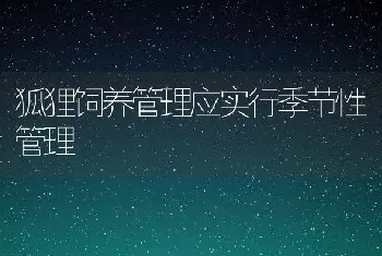 狐狸饲养管理应实行季节性管理