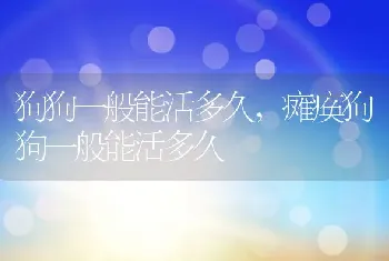 狗狗一般能活多久，瘫痪狗狗一般能活多久