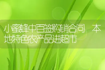 小蜜蜂中百签购销合同本地特色农产品进超市