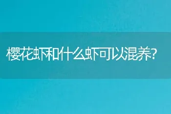 樱花虾和什么虾可以混养？